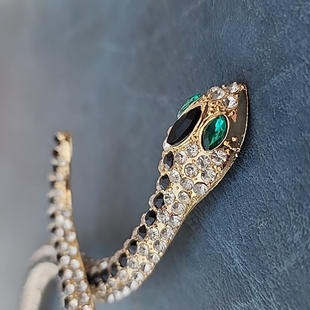 Snake 🐍 Chocker - Picture 9 of 12